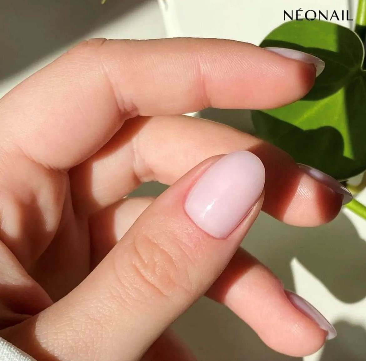 TOP COAT