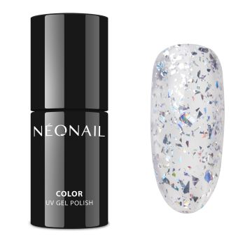 9238-7 Silver Confetti - Neonail